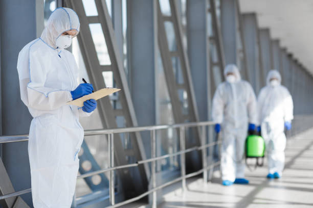Best Post-Construction Mold Inspection  in Hollywood, SC