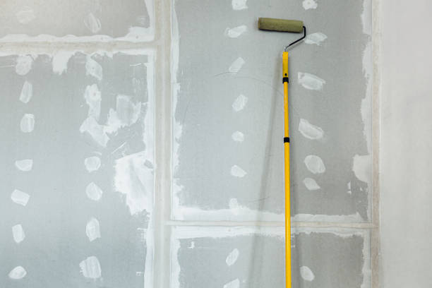 Best Biohazard Mold Removal  in Hollywood, SC