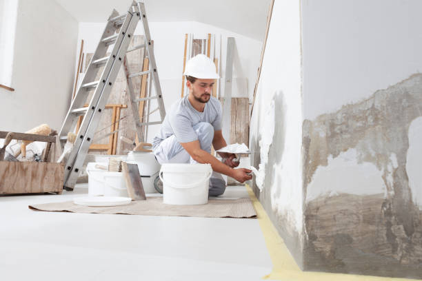 Best Environmental Consulting for Mold Prevention  in Hollywood, SC