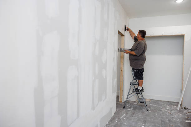 Best Mold Odor Removal Services  in Hollywood, SC