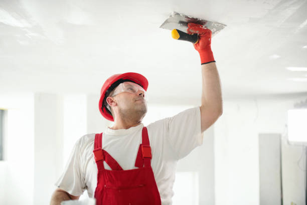 Best Residential Mold Inspection & Testing  in Hollywood, SC