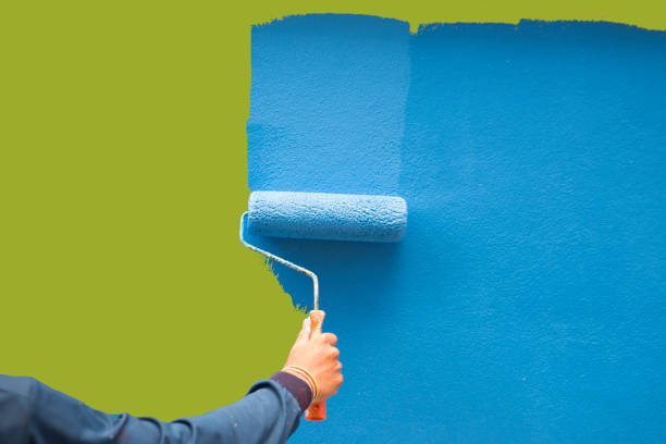 Best Emergency Mold Remediation  in Hollywood, SC