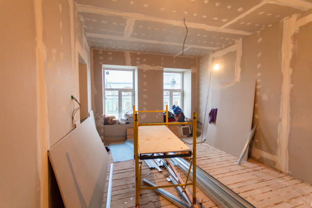 Best Mold Remediation for Healthcare Facilities  in Hollywood, SC