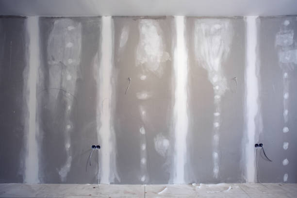  Hollywood, SC Mold Removal Pros
